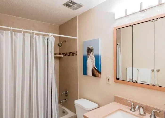 Trail Oasis Triplex Clearwater Beach