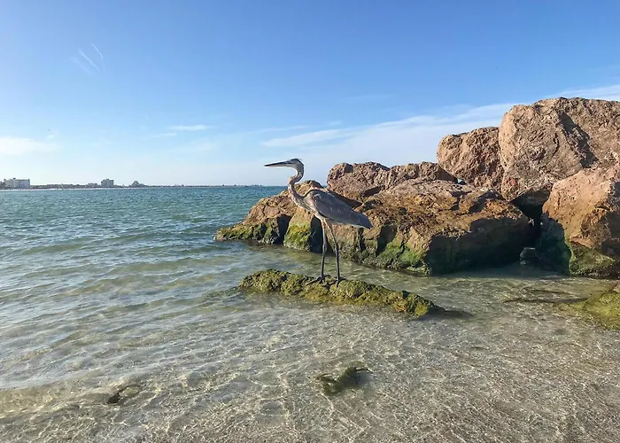 Trail Oasis Triplex Clearwater Beach